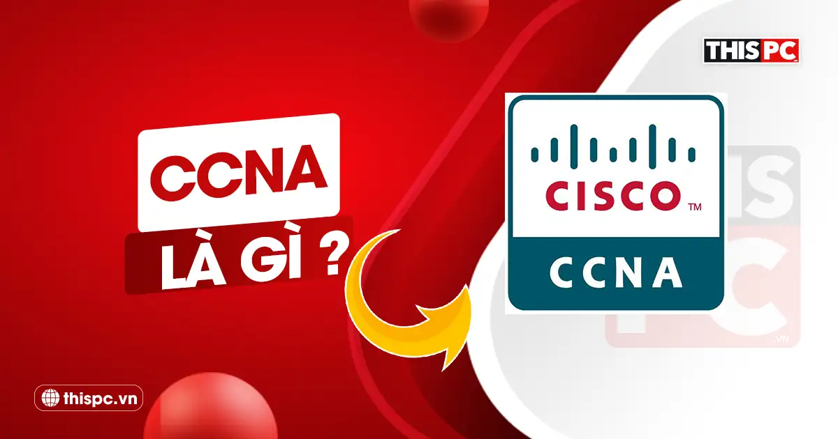 cisco certified network associate ccna là gì