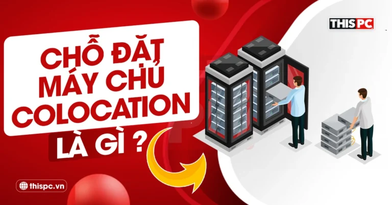 cho dat may chu colocation la gi thispc.vn thumb 2025