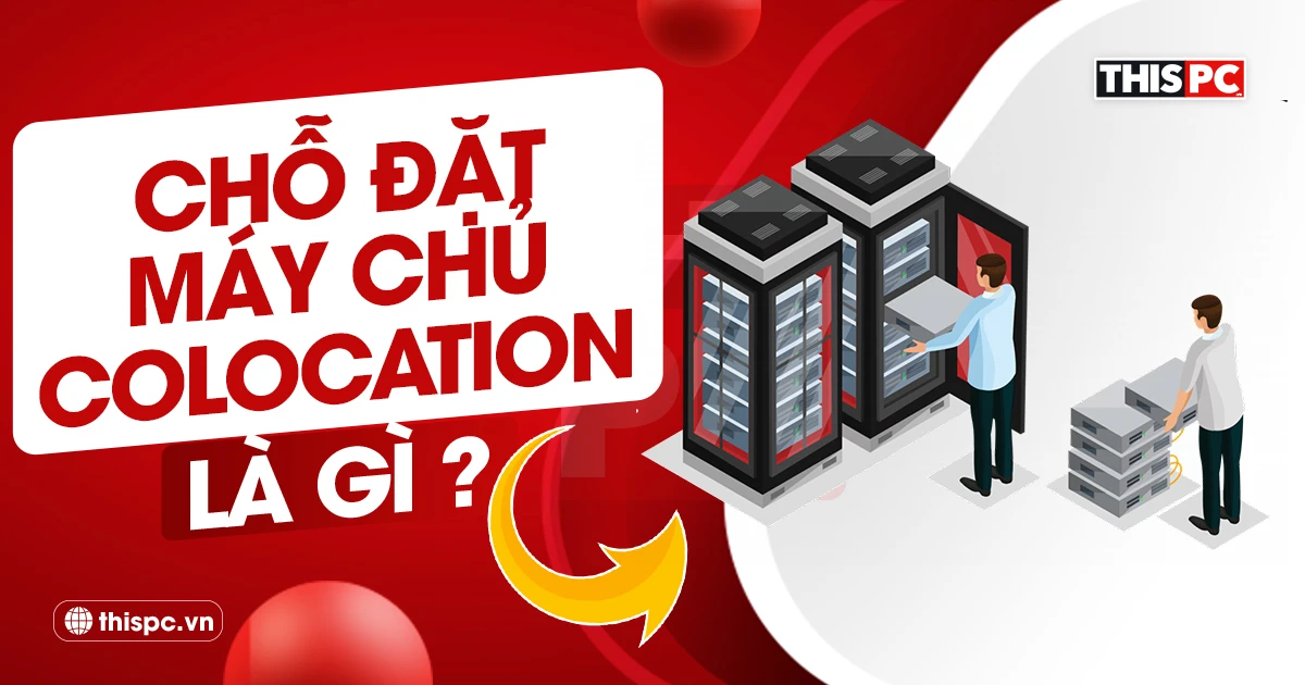 cho dat may chu colocation la gi thispc.vn thumb 2025